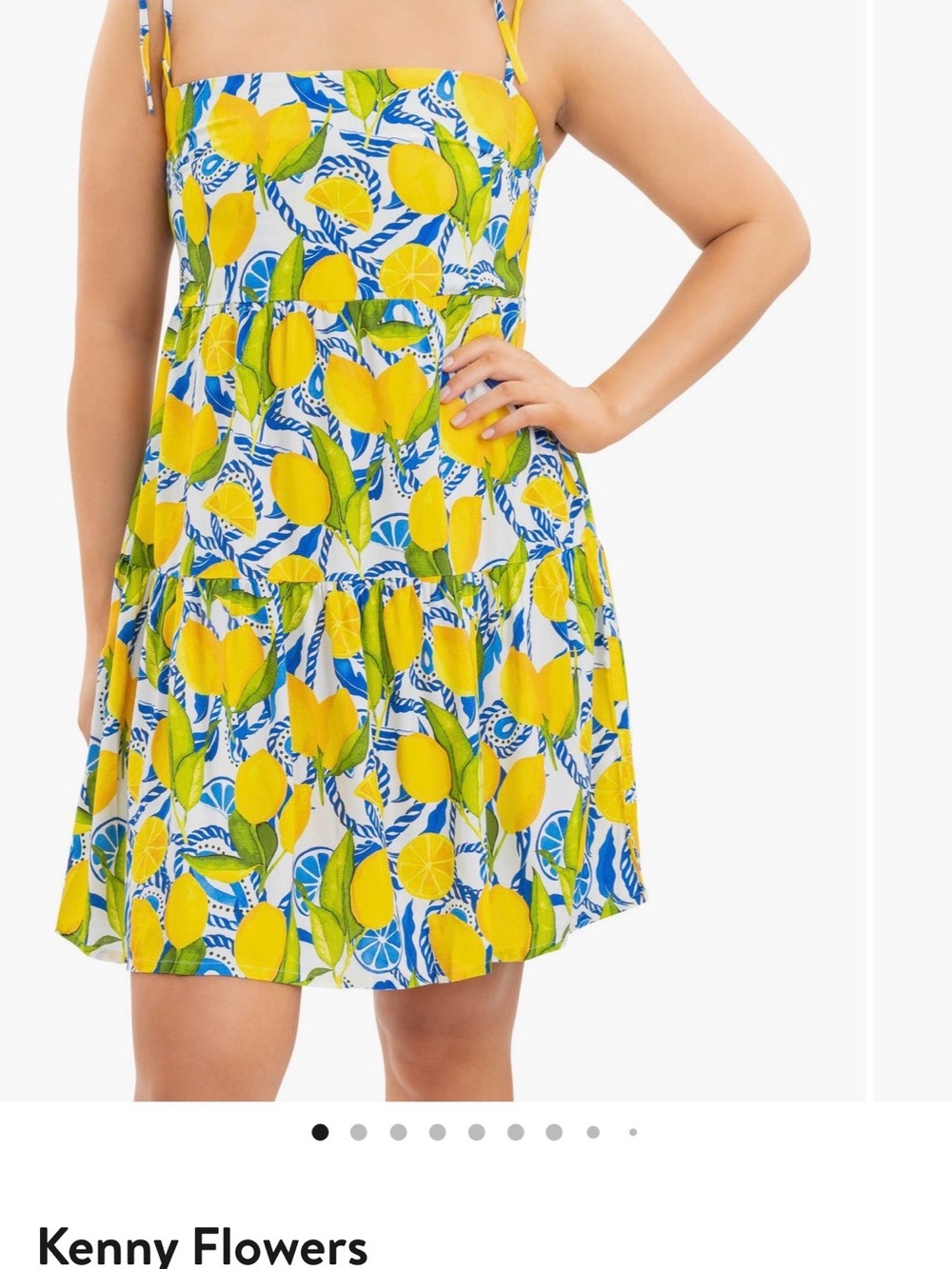 Kenny Flowers The Positano - Mini Resort Dress